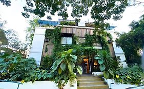 Cabins By Eco Hotels